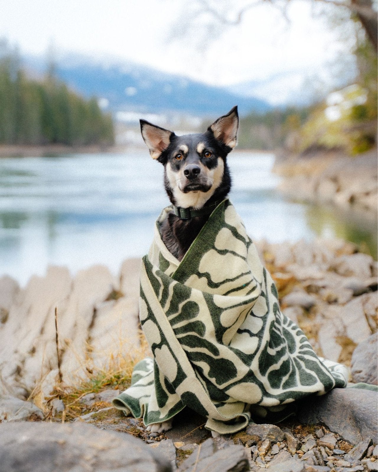MATCHA ETERNAL SUNSHINE - BLANKET | Stonewaters