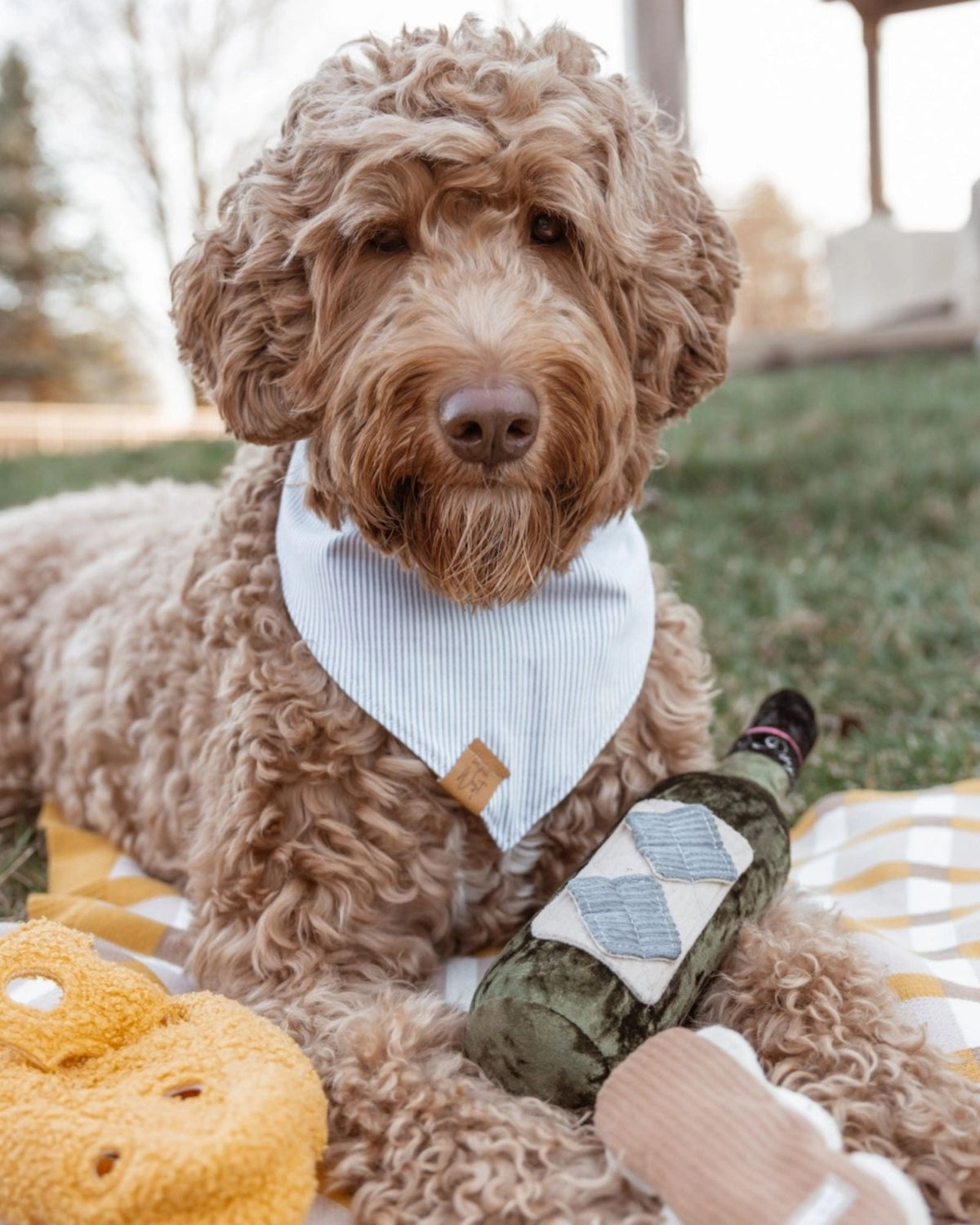 MERLOT - PET TOY | Stonewaters