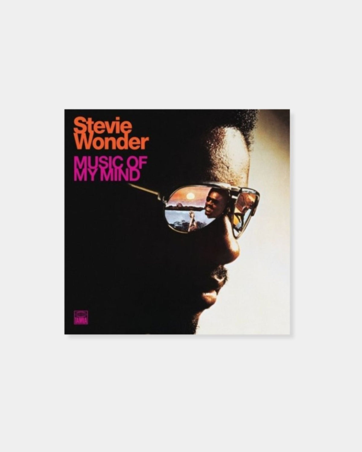 MUSIC OF MY MIND - STEVIE WONDER | Stonewaters