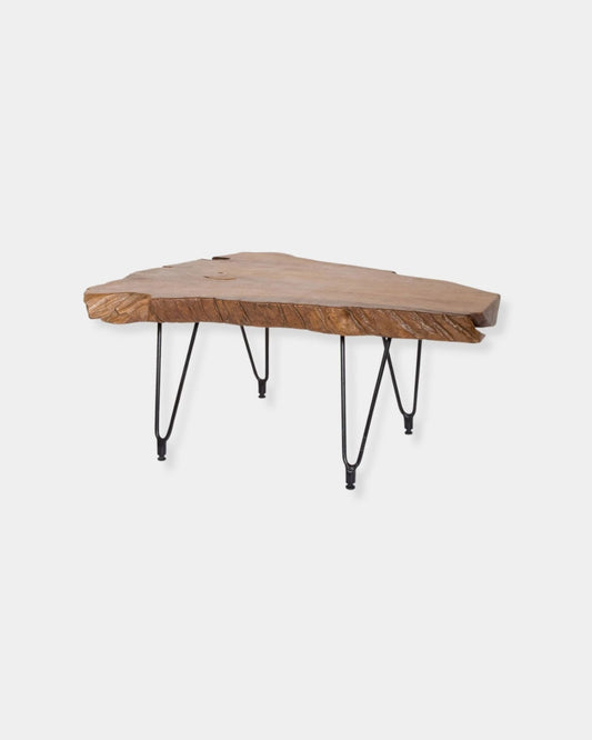 NATURA HAIRPIN COFFEE TABLE | Stonewaters