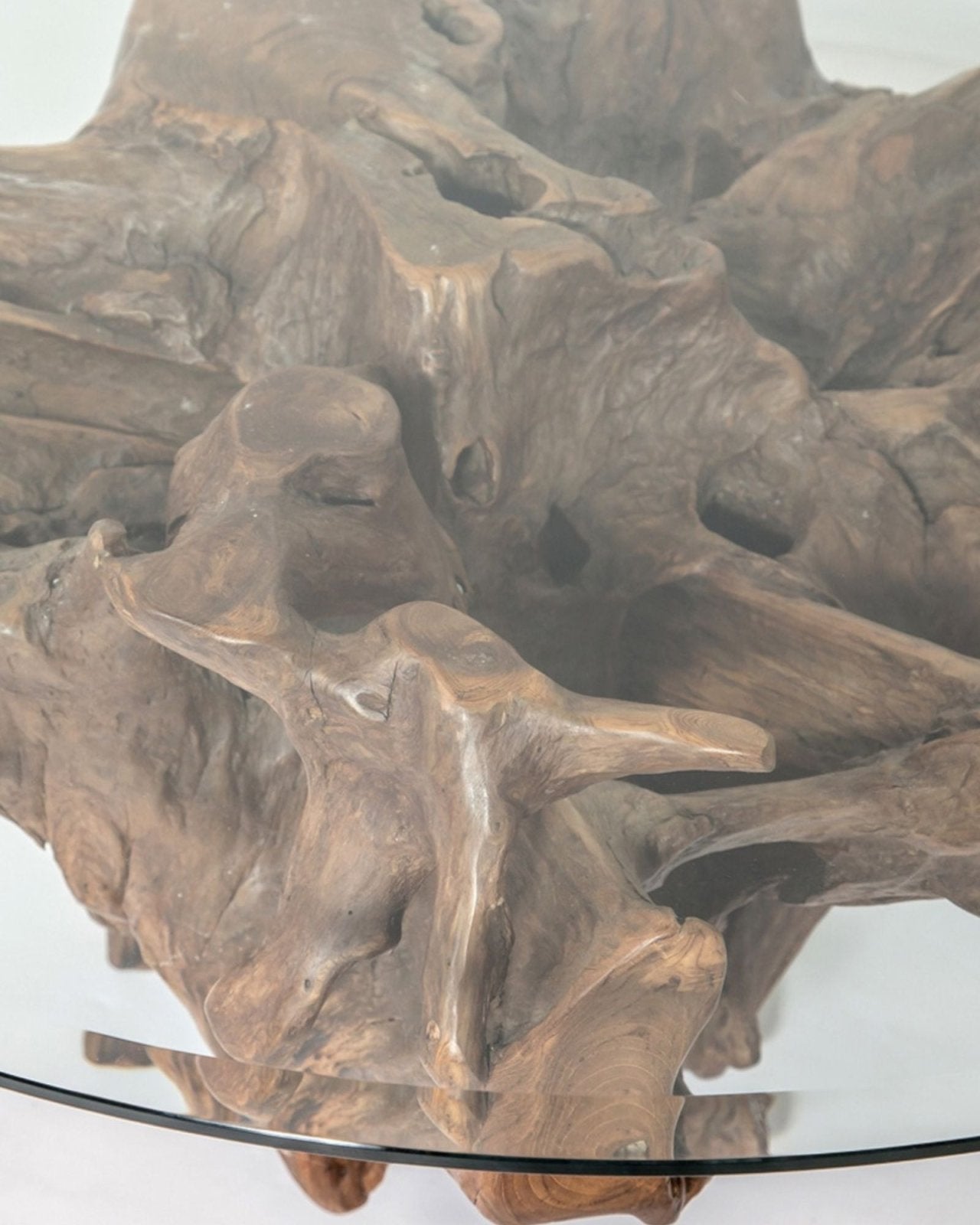 NATURA ROOT COFFEE TABLE | Stonewaters