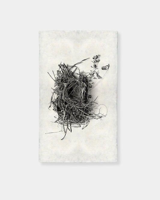 NEST STUDY 1 - PRINT | Stonewaters
