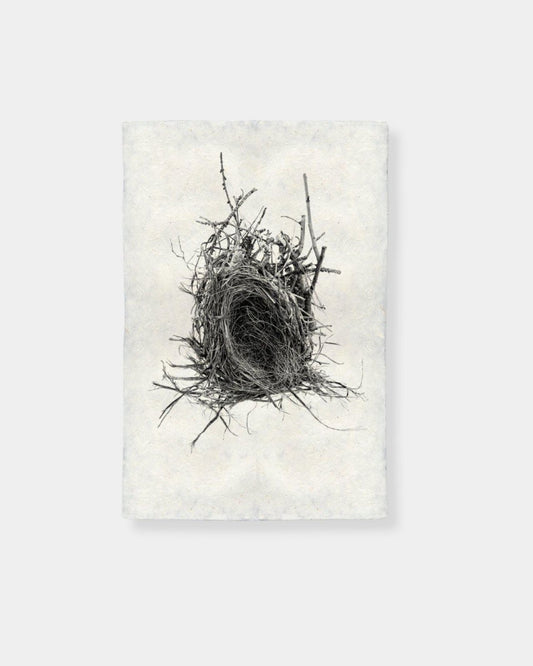 NEST STUDY 12 - PRINT | Stonewaters