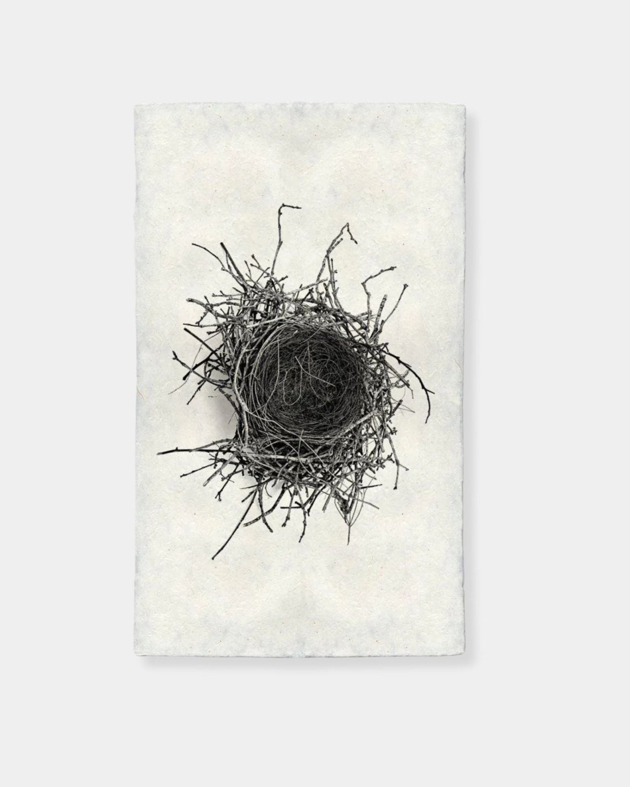 NEST STUDY 2 - PRINT | Stonewaters