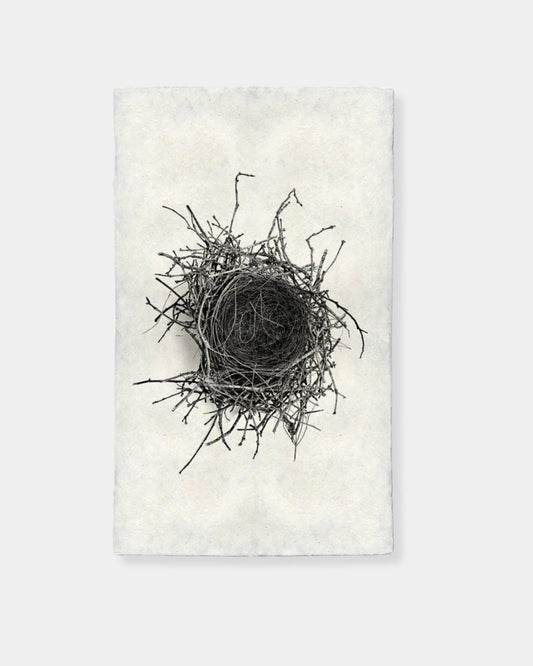 NEST STUDY 2 - PRINT | Stonewaters