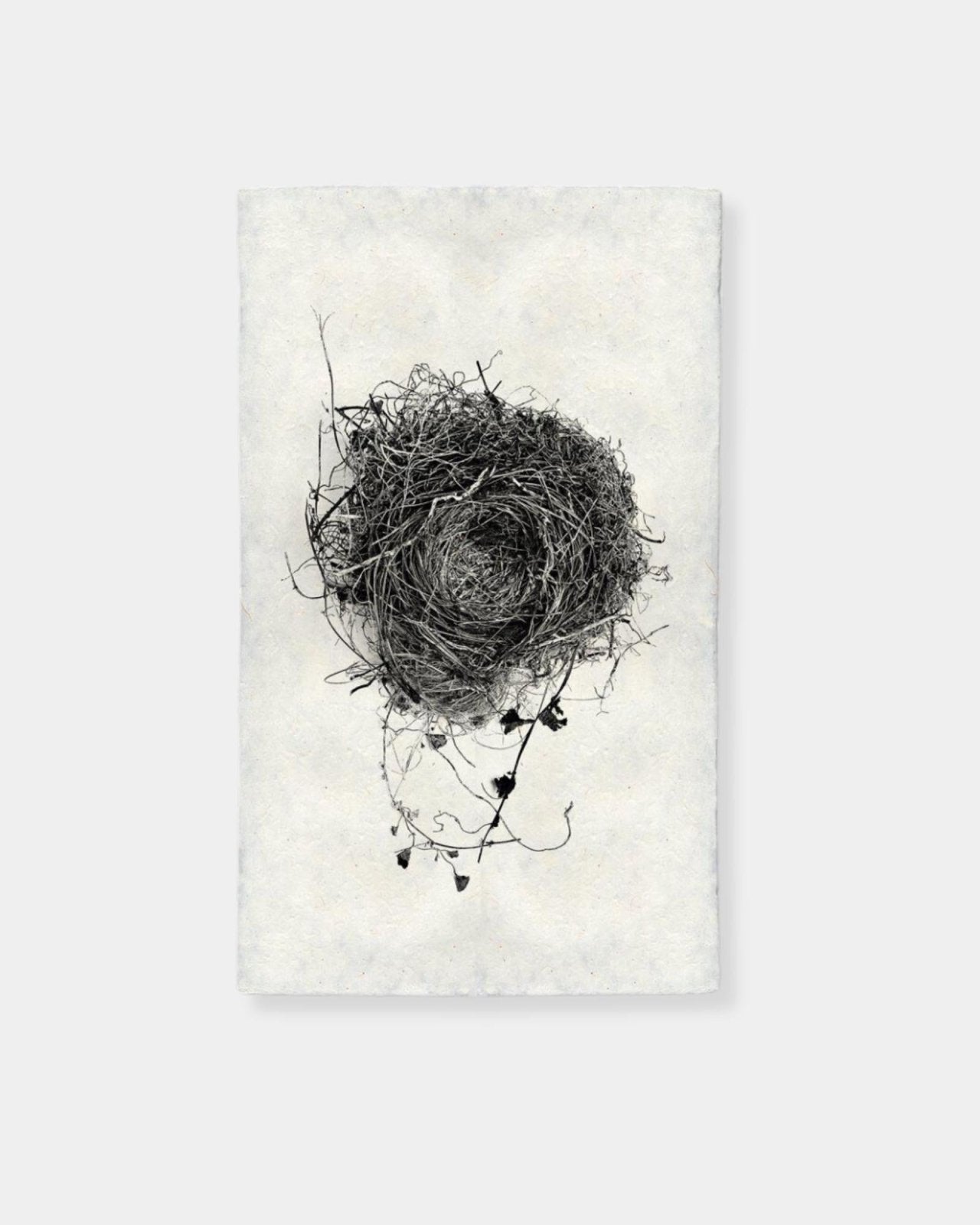 NEST STUDY 3 - PRINT | Stonewaters