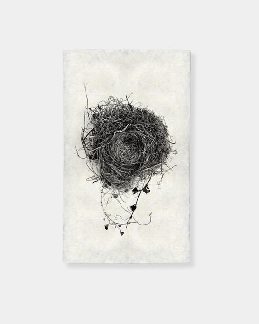 NEST STUDY 3 - PRINT | Stonewaters
