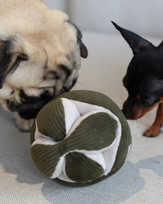 PINE MONTI - PET TOY | Stonewaters