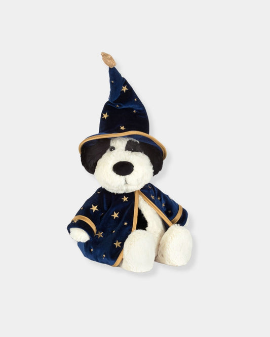 RUFFERTY PUPPY WIZARD OUTFIT - PLUSH TOY | Stonewaters
