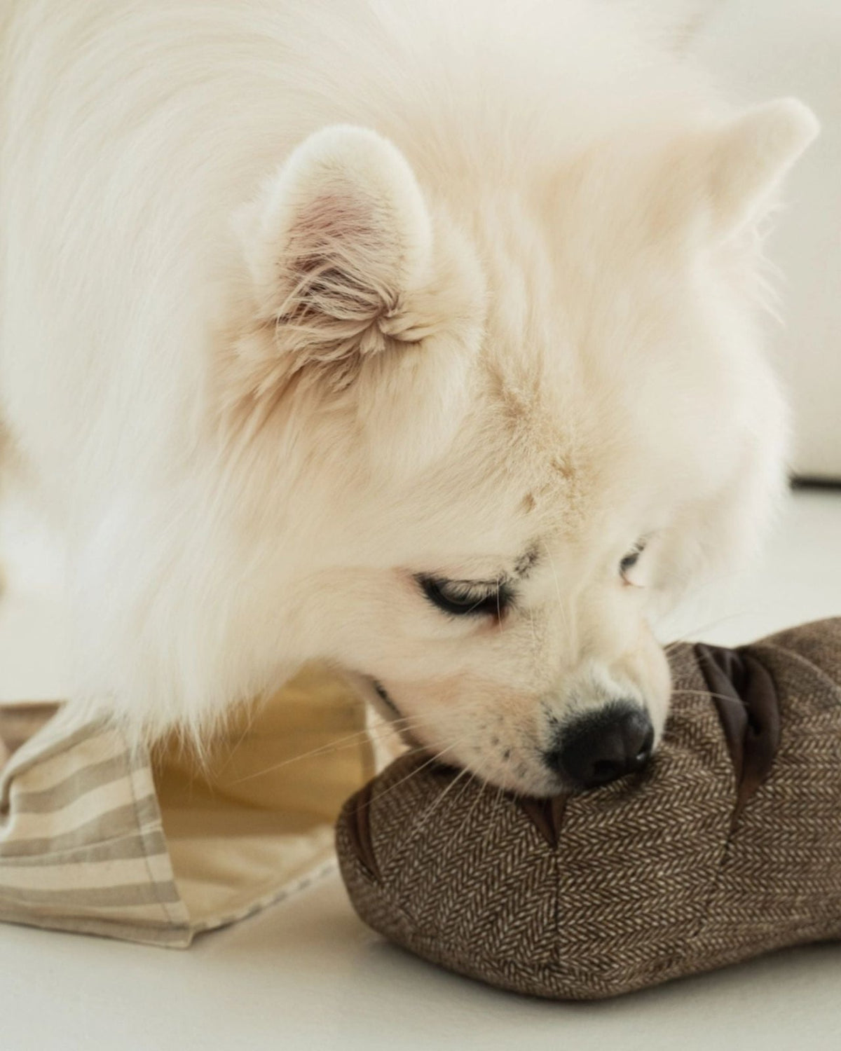 RYE ENRICHMENT SNUFFLE - PET TOY | Stonewaters