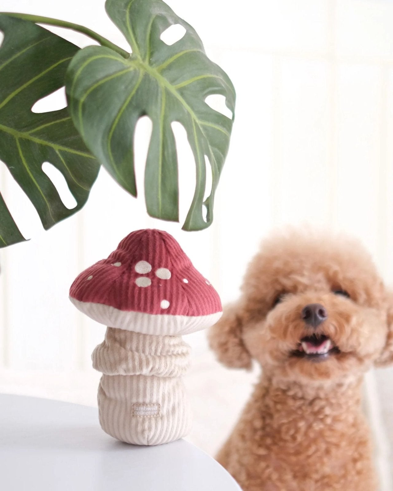 SHROOM - PET TOY | Stonewaters