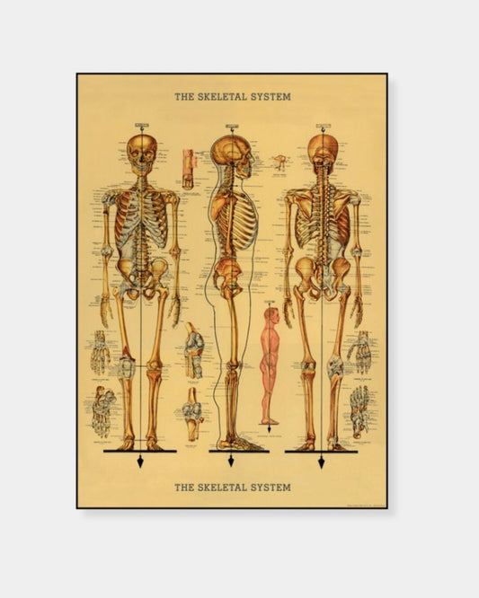 SKELETON WRAP | Stonewaters