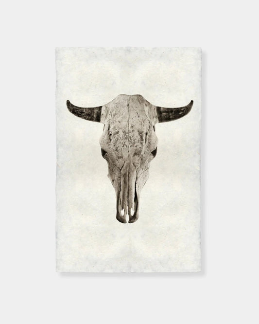 STEER SKULL - PRINT 9x14 | Stonewaters