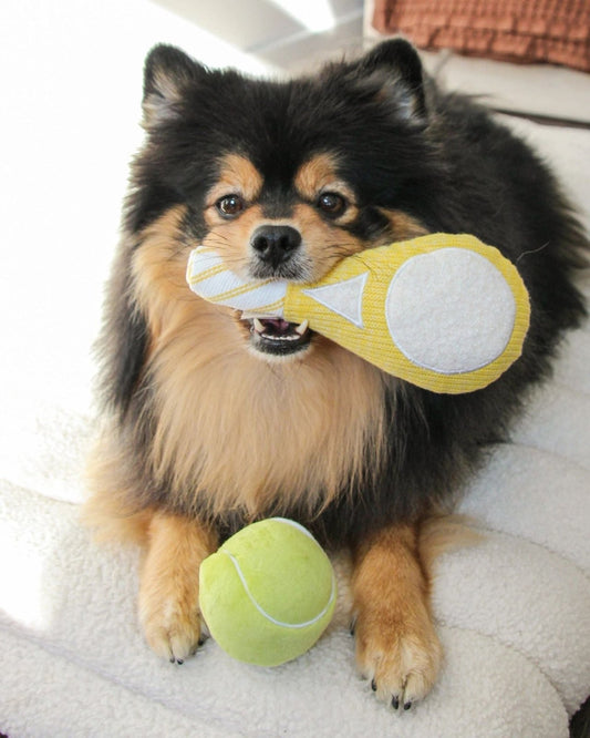 TENNIS POP - PET TOY | Stonewaters