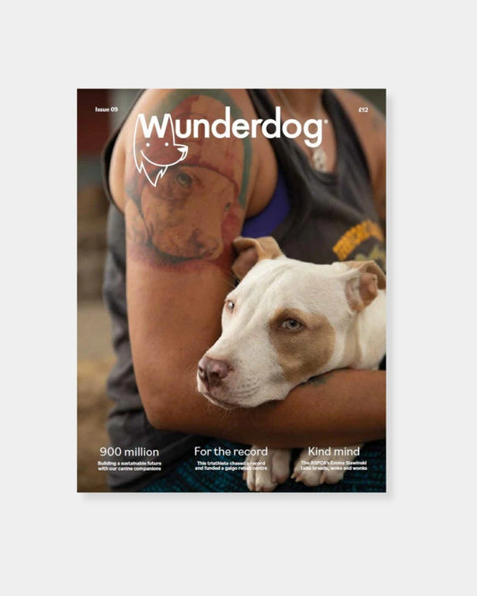 WUNDERDOG ISSUE 9 | Stonewaters